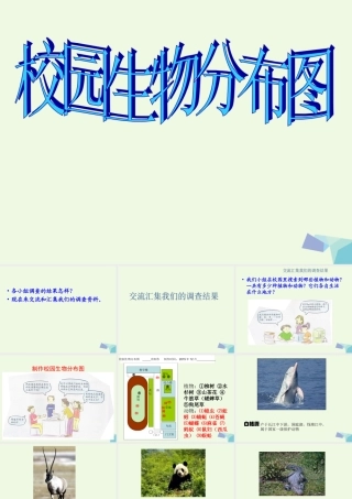 六年级科学上册 4.2 校园生物分布图课件2 教科版-教科版小学六年级上册自然科学课件