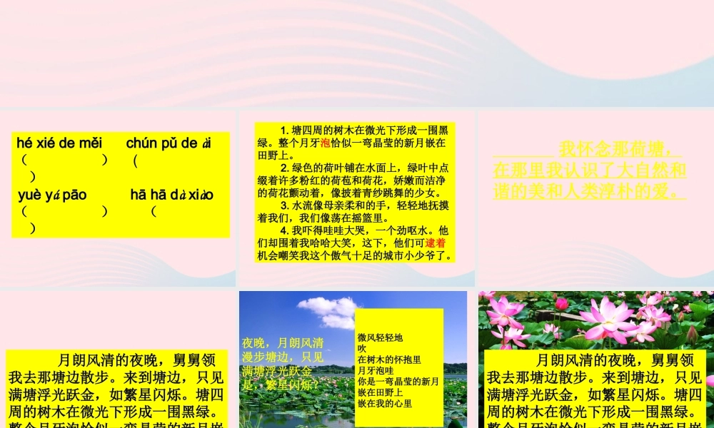 六年级语文上册 5.3 荷塘旧事课件2 北师大版-北师大版小学六年级上册语文课件