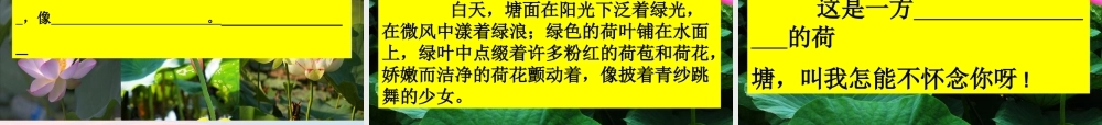 六年级语文上册 5.3 荷塘旧事课件2 北师大版-北师大版小学六年级上册语文课件