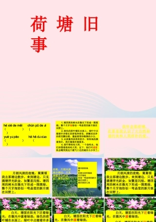 六年级语文上册 5.3 荷塘旧事课件2 北师大版-北师大版小学六年级上册语文课件