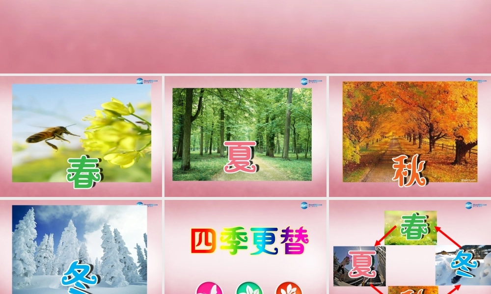 六年级科学上册 第4单元 16 四季更替课件3 青岛版