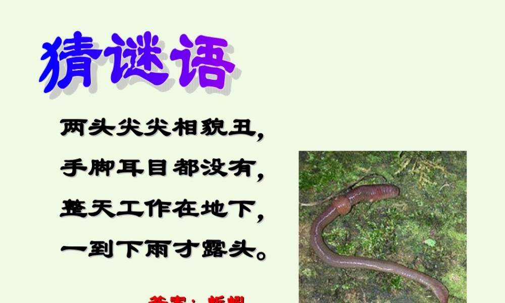 六年级科学上册 蚯蚓找家课件2 青岛版-青岛版小学六年级上册自然科学课件