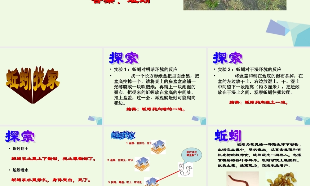 六年级科学上册 蚯蚓找家课件2 青岛版-青岛版小学六年级上册自然科学课件
