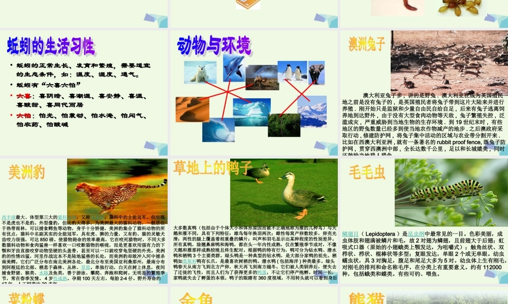 六年级科学上册 蚯蚓找家课件2 青岛版-青岛版小学六年级上册自然科学课件