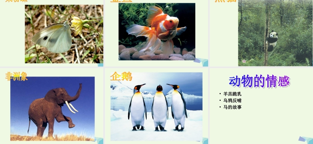 六年级科学上册 蚯蚓找家课件2 青岛版-青岛版小学六年级上册自然科学课件