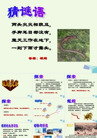 六年级科学上册 蚯蚓找家课件2 青岛版-青岛版小学六年级上册自然科学课件