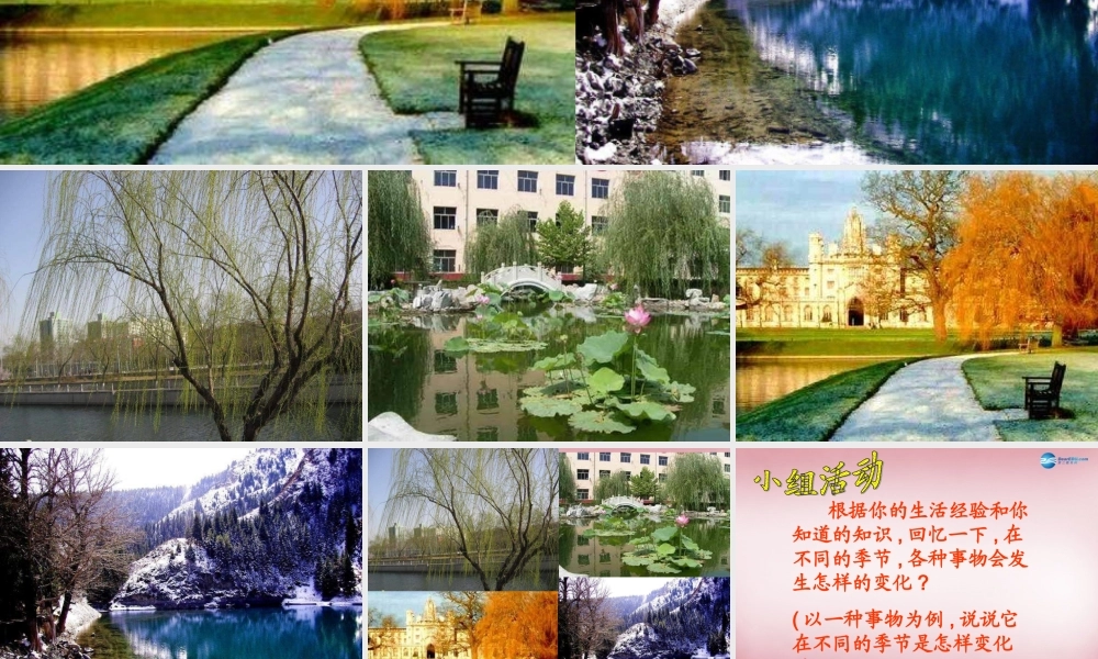 六年级科学上册 第4单元 16 四季更替课件4 青岛版