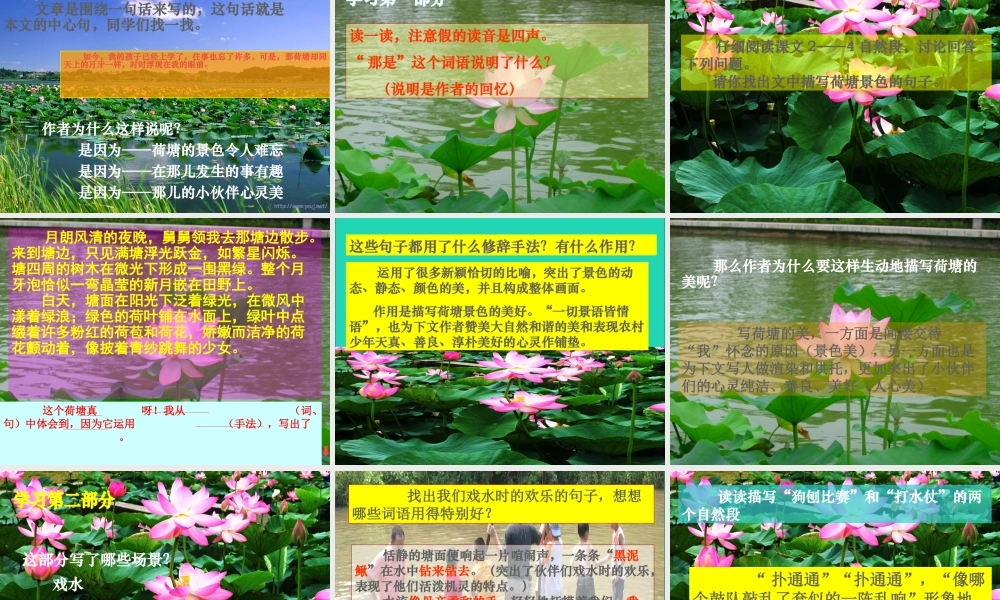 六年级语文上册 5.3《荷塘旧事》课件 北师大版-北师大版小学六年级上册语文课件