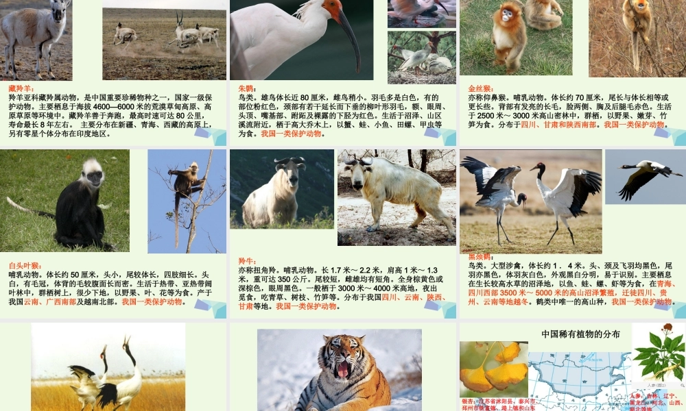 六年级科学上册 4.2 校园生物分布图课件3 教科版-教科版小学六年级上册自然科学课件