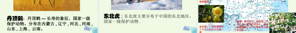六年级科学上册 4.2 校园生物分布图课件3 教科版-教科版小学六年级上册自然科学课件