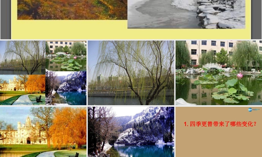 六年级科学上册 第4单元 16 四季交替课件1 青岛版