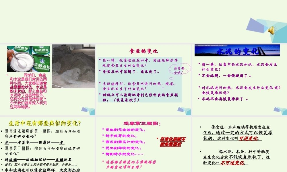 六年级科学上册 食盐和水泥课件1 青岛版-青岛版小学六年级上册自然科学课件