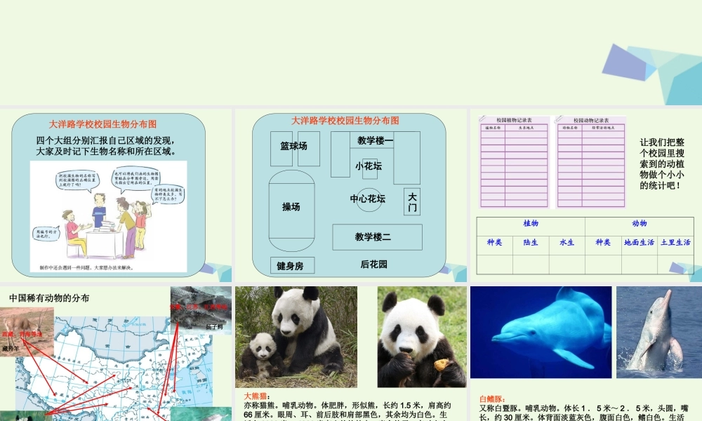 六年级科学上册 4.2 校园生物分布图课件4 教科版-教科版小学六年级上册自然科学课件