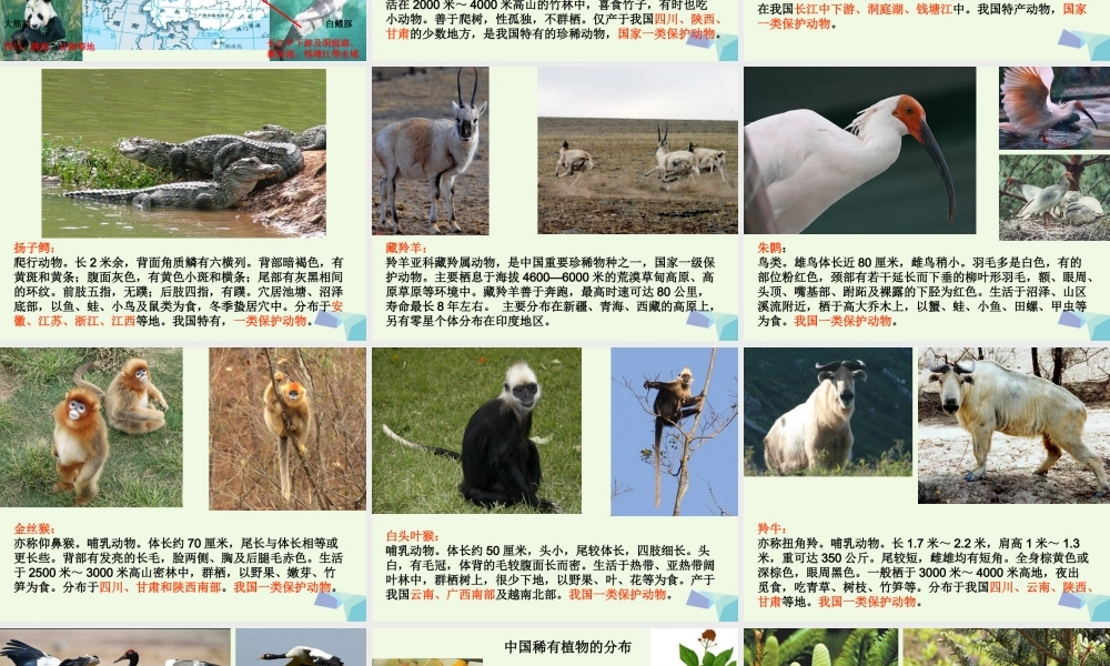 六年级科学上册 4.2 校园生物分布图课件4 教科版-教科版小学六年级上册自然科学课件