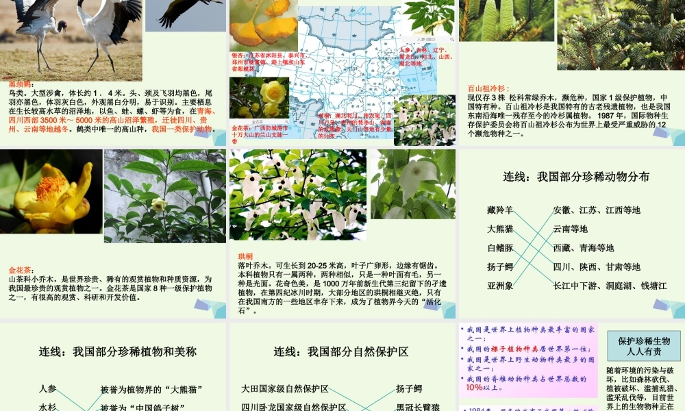 六年级科学上册 4.2 校园生物分布图课件4 教科版-教科版小学六年级上册自然科学课件