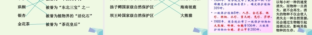 六年级科学上册 4.2 校园生物分布图课件4 教科版-教科版小学六年级上册自然科学课件