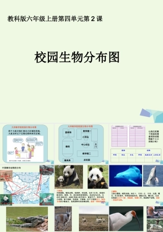 六年级科学上册 4.2 校园生物分布图课件4 教科版-教科版小学六年级上册自然科学课件