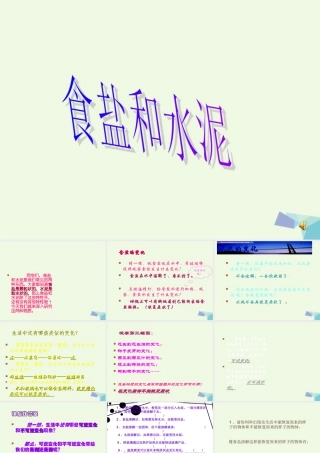 六年级科学上册 食盐和水泥课件2 青岛版-青岛版小学六年级上册自然科学课件