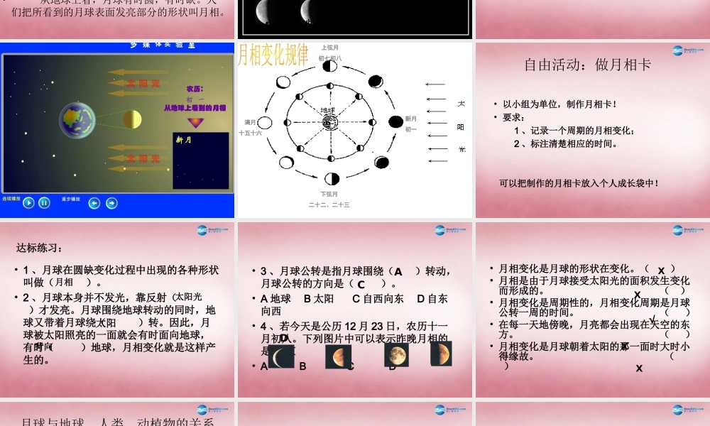 六年级科学上册 第4单元 17 弯弯的月亮课件3 青岛版