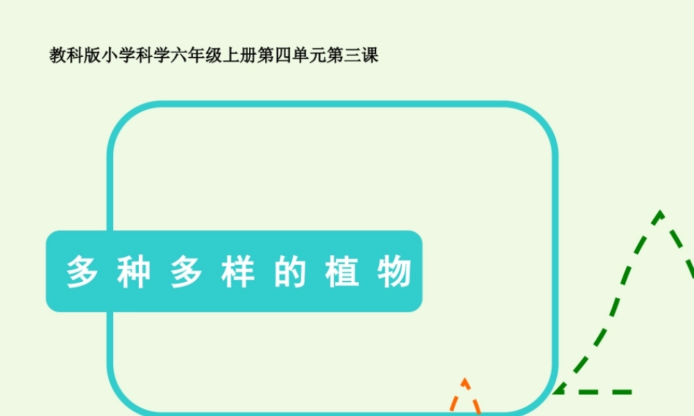 六年级科学上册 4.3 多种多样的植物课件1 教科版-教科版小学六年级上册自然科学课件