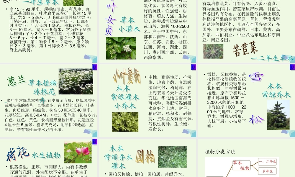 六年级科学上册 4.3 多种多样的植物课件2 教科版-教科版小学六年级上册自然科学课件