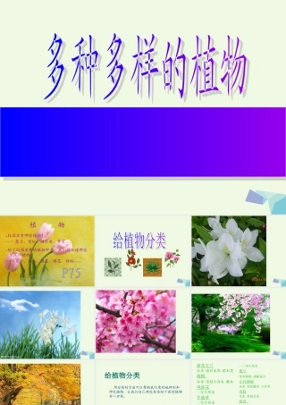 六年级科学上册 4.3 多种多样的植物课件2 教科版-教科版小学六年级上册自然科学课件