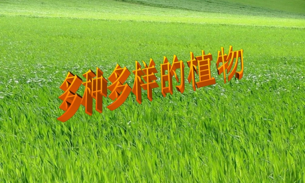 六年级科学上册 4.3 多种多样的植物课件3 教科版-教科版小学六年级上册自然科学课件