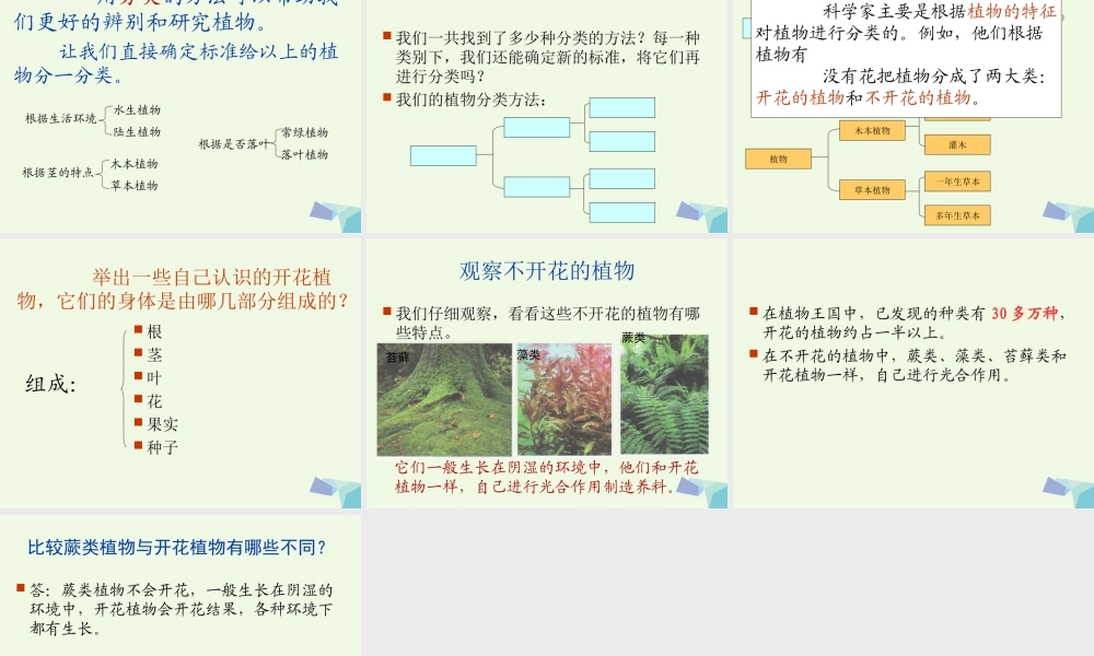 六年级科学上册 4.3 多种多样的植物课件3 教科版-教科版小学六年级上册自然科学课件