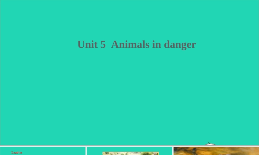 六年级英语上册 Module 2 Relationships Unit 5 Animals in danger课件+素材 沪教牛津版（三起）