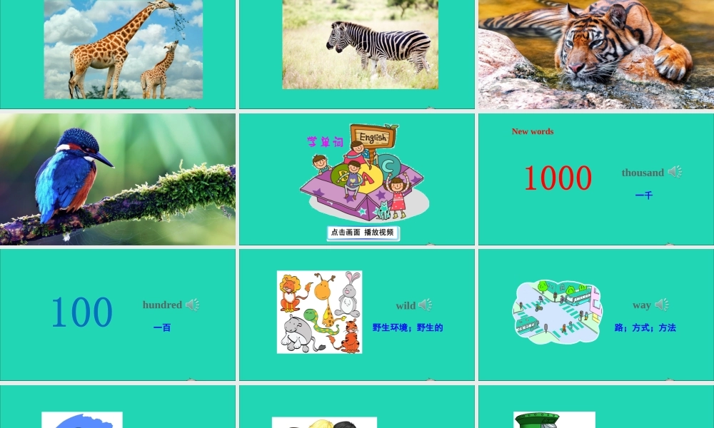 六年级英语上册 Module 2 Relationships Unit 5 Animals in danger课件+素材 沪教牛津版（三起）