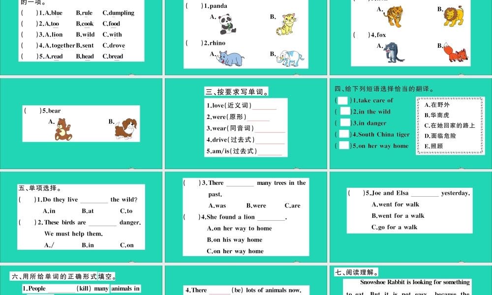 六年级英语上册 Module 2 Relationships Unit 5 Animals in danger作业课件 沪教牛津版（三起）-牛津版小学六年级上册英语课件