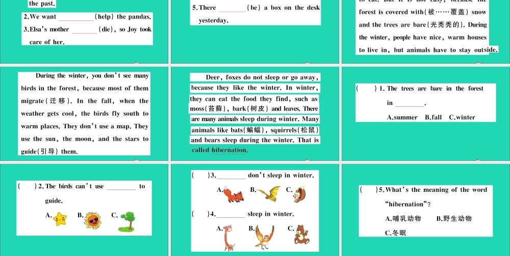 六年级英语上册 Module 2 Relationships Unit 5 Animals in danger作业课件 沪教牛津版（三起）-牛津版小学六年级上册英语课件
