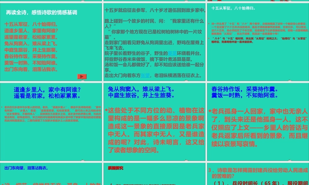 六年级语文上册 6.1 十五从军征课件 北师大版-北师大版小学六年级上册语文课件