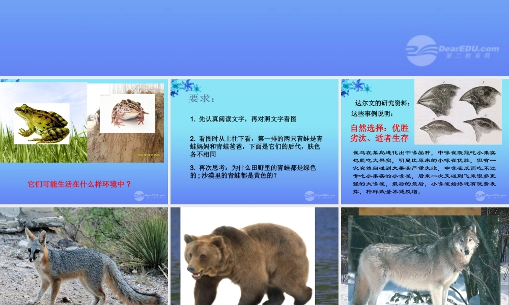 六年级科学上册 谁选择了它们 1课件 教科版