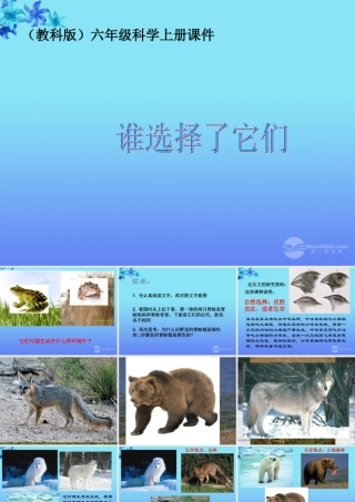六年级科学上册 谁选择了它们 1课件 教科版