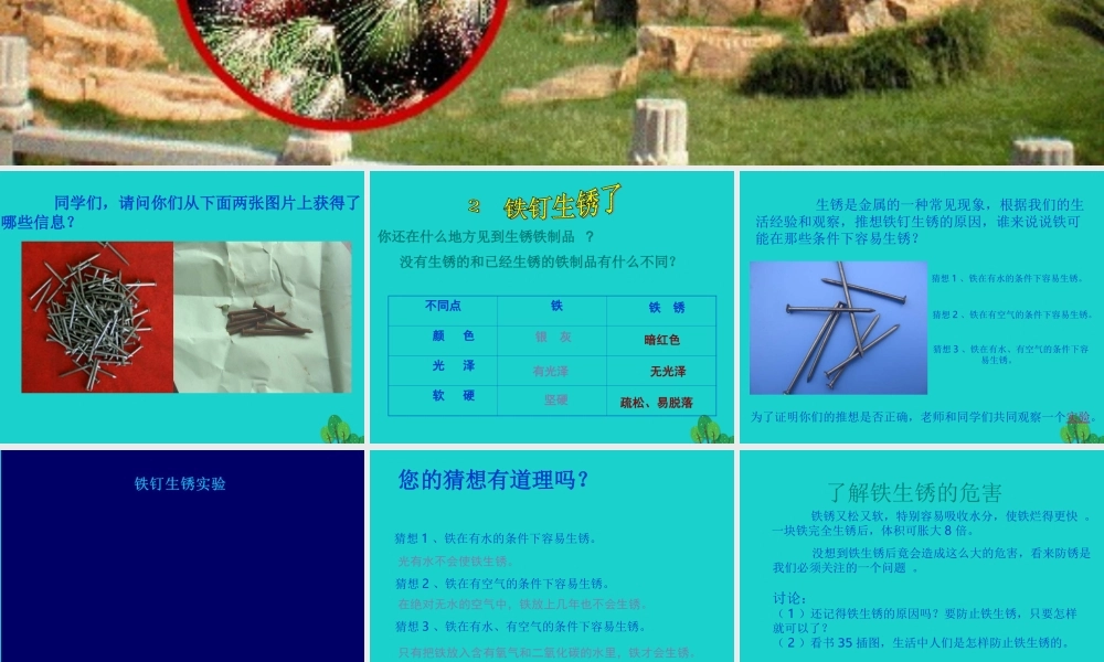 六年级科学上册 铁钉生锈了课件1 苏教版-苏教版小学六年级上册自然科学课件