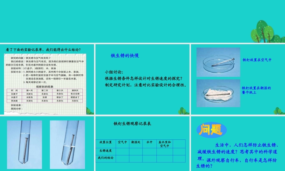 六年级科学上册 铁钉生锈了课件2 苏教版-苏教版小学六年级上册自然科学课件