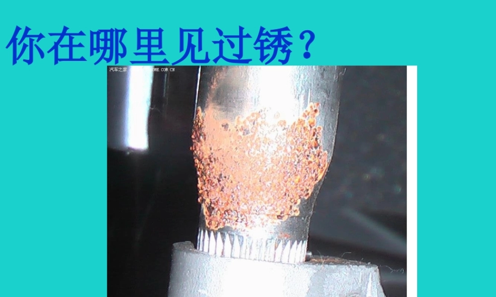 六年级科学上册 铁钉生锈了课件4 苏教版-苏教版小学六年级上册自然科学课件