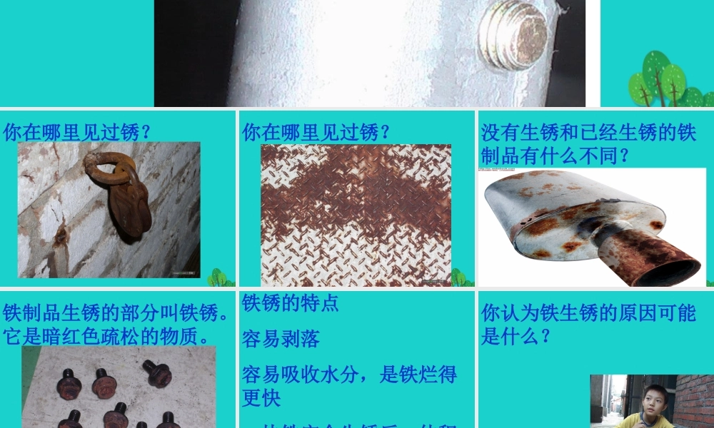 六年级科学上册 铁钉生锈了课件4 苏教版-苏教版小学六年级上册自然科学课件