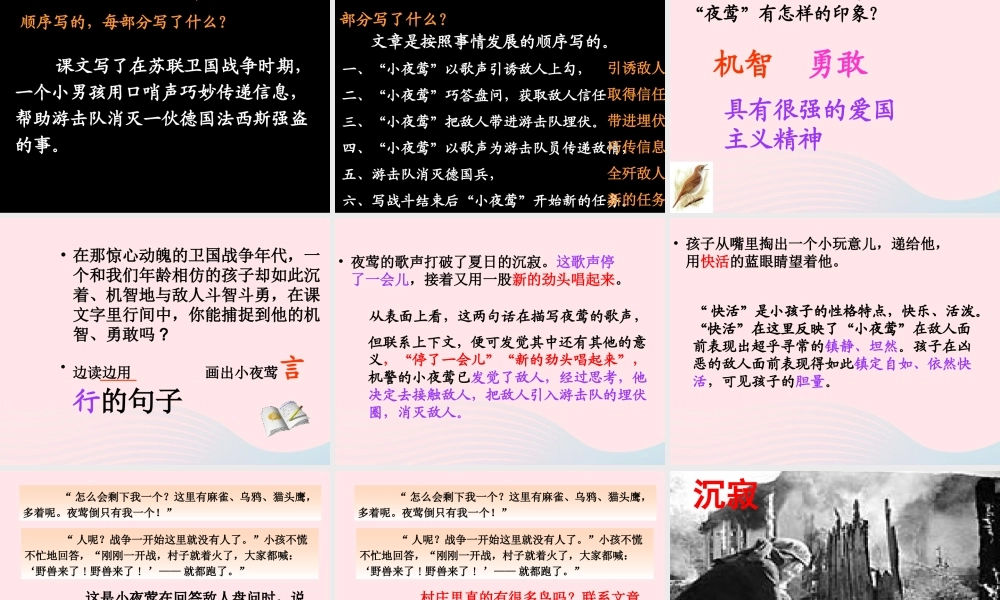 六年级语文上册 6.3 夜莺之歌课件1 北师大版-北师大版小学六年级上册语文课件