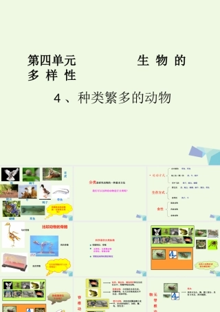六年级科学上册 4.4 种类繁多的动物课件1 教科版-教科版小学六年级上册自然科学课件