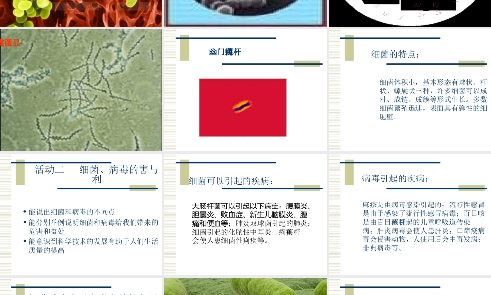 六年级科学上册 细菌和病毒课件 冀教版