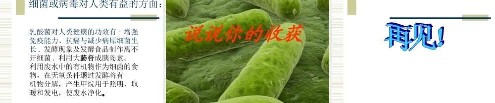 六年级科学上册 细菌和病毒课件 冀教版