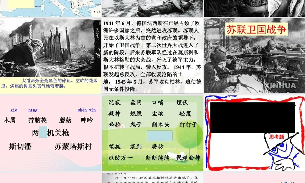 六年级语文上册 6.3 夜莺之歌课件2 北师大版-北师大版小学六年级上册语文课件