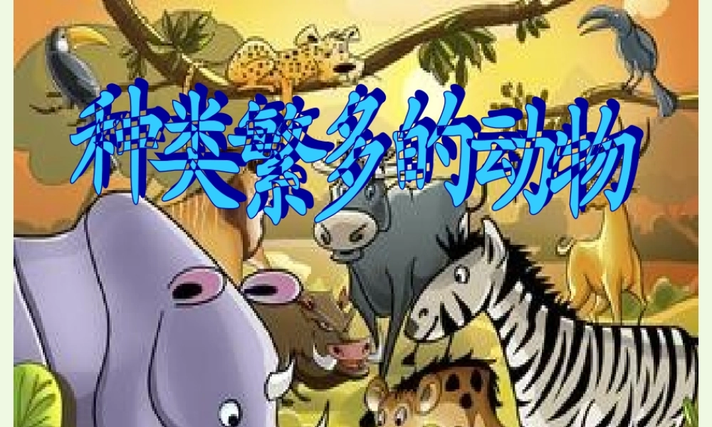 六年级科学上册 4.4 种类繁多的动物课件3 教科版-教科版小学六年级上册自然科学课件