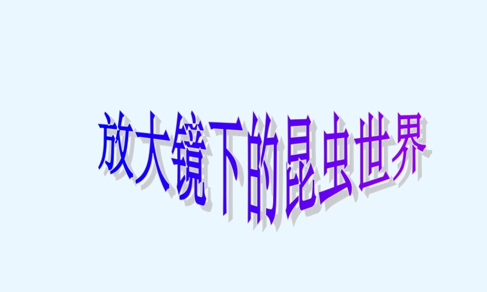六年级科学下册 2.放大镜下的昆虫世界课件 教科版