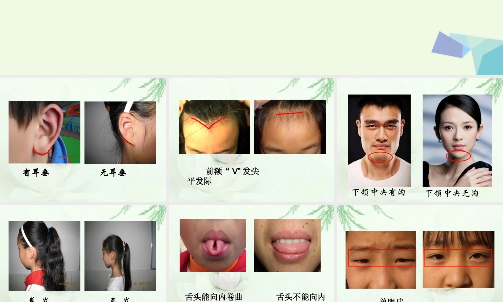 六年级科学上册 4.5 相貌各异的我们课件1 教科版-教科版小学六年级上册自然科学课件