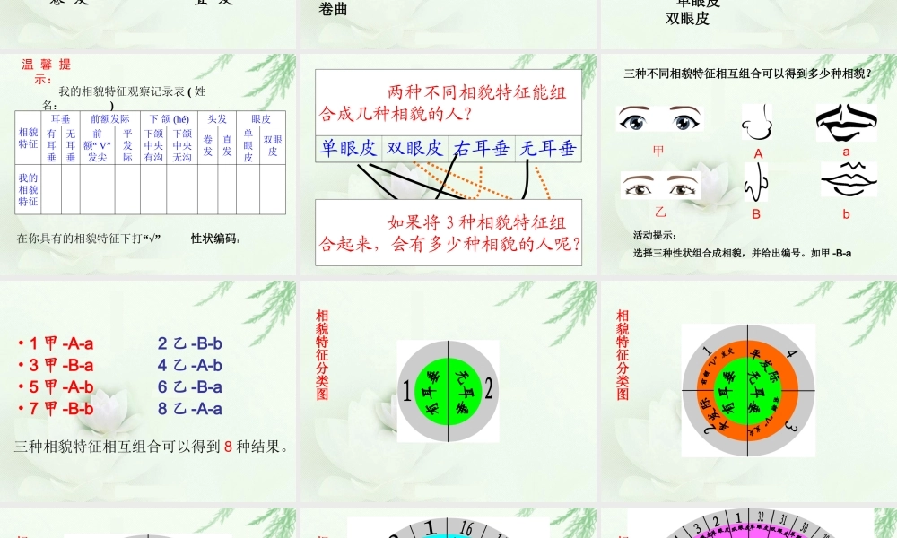 六年级科学上册 4.5 相貌各异的我们课件1 教科版-教科版小学六年级上册自然科学课件
