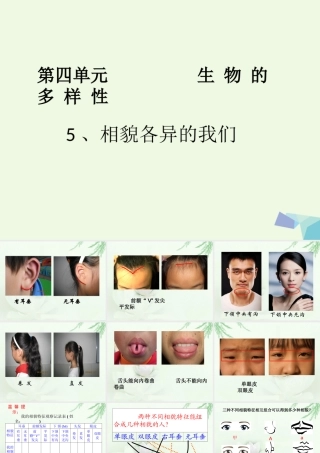 六年级科学上册 4.5 相貌各异的我们课件1 教科版-教科版小学六年级上册自然科学课件