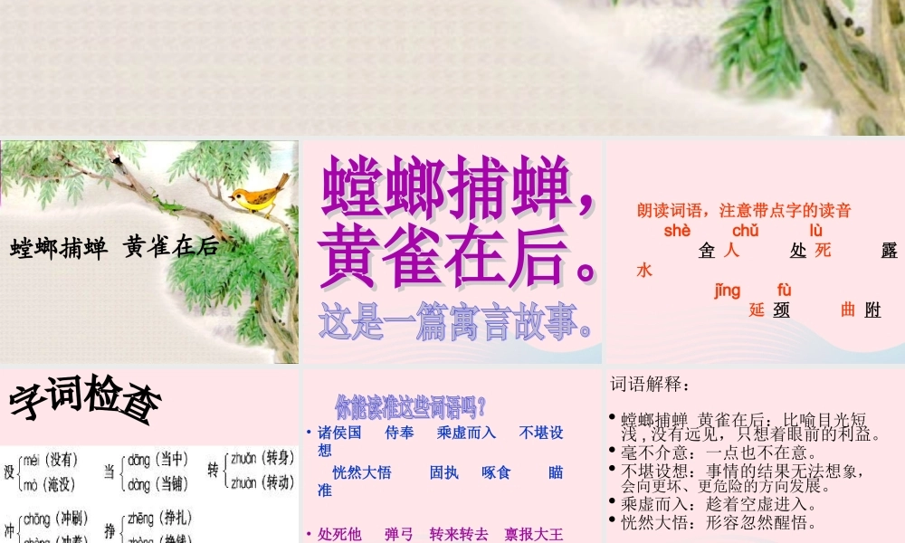 六年级语文上册 6.5 螳螂捕蝉课件1 北师大版-北师大版小学六年级上册语文课件